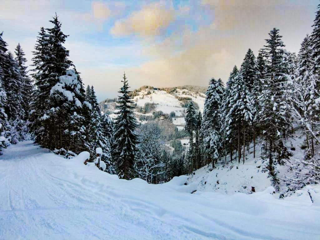 Hotel - Pension Oetzmooshof Sankt Johann im Pongau Zewnętrze zdjęcie